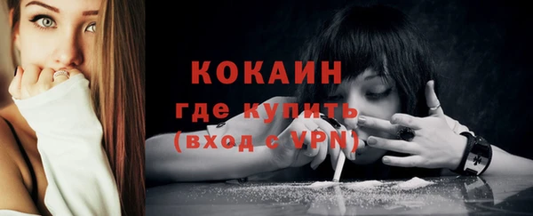 гидра Горняк