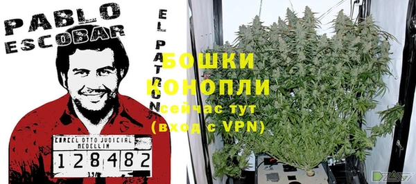 винт Горно-Алтайск