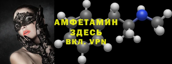 гидра Горняк