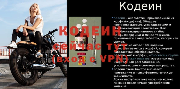 гидра Горняк