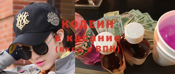 гидра Горняк